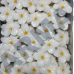 Fruit or Flower Shape Soap 100grams
